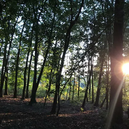 Domek Letniskowy Hanka